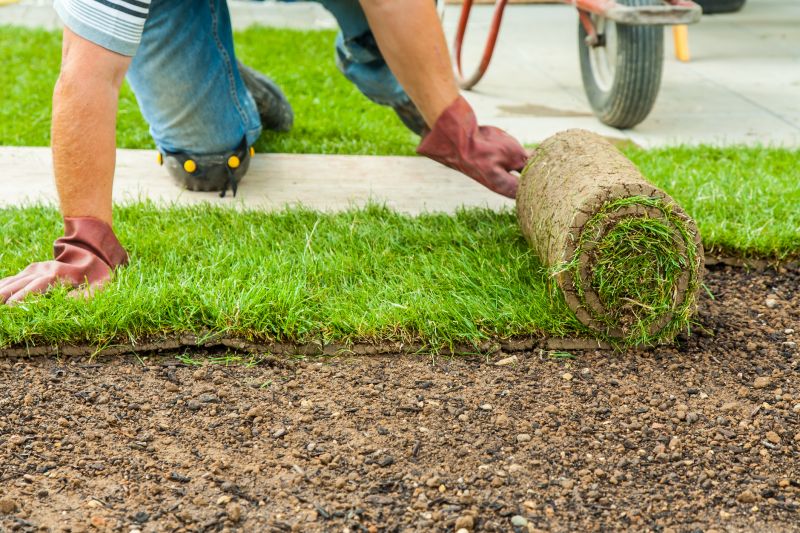 Bahia Sod Installation in Rockwall, TX