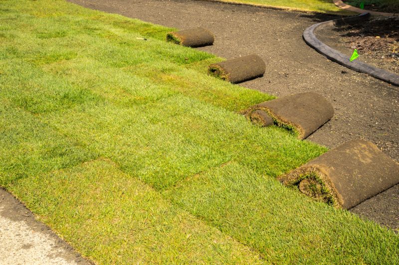 Bermuda Grass Installation in Ventura County, CA