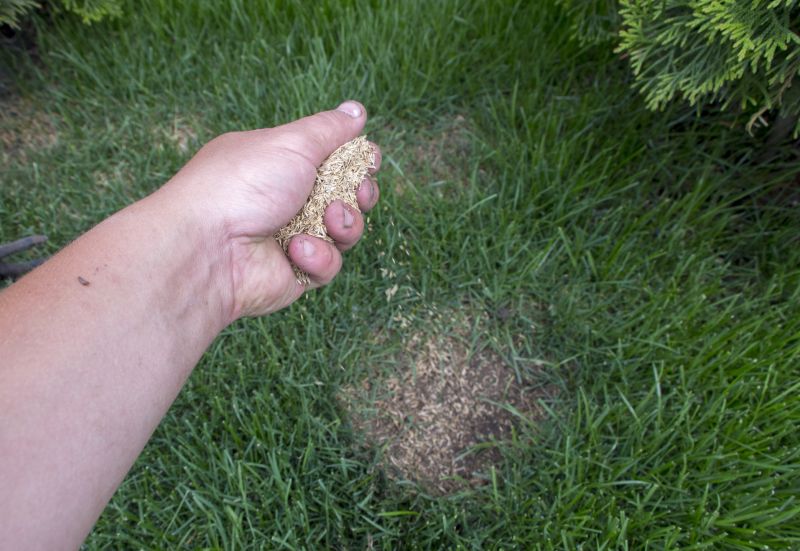 Grass Seed Installation in Honolulu, HI