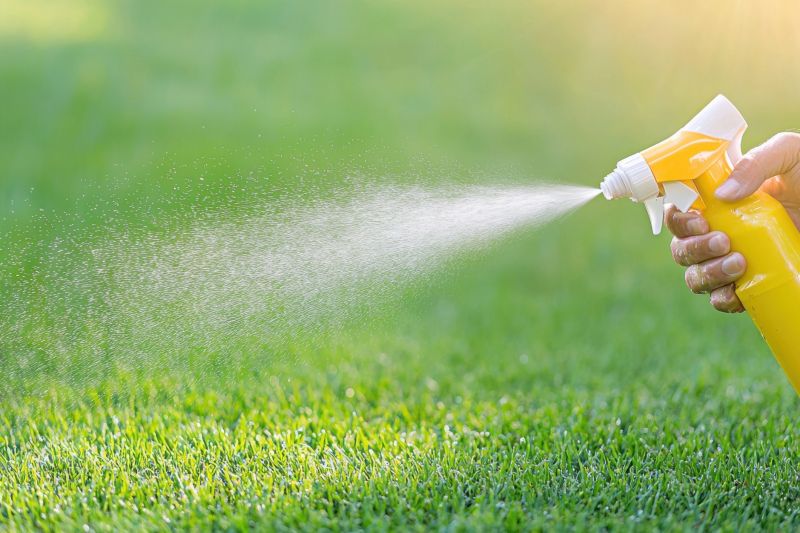 Slope Weed Control in Rockwall, TX