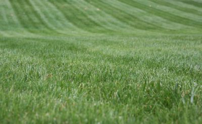 Improve the Appearance of Your Lawn with Soil Aeration!