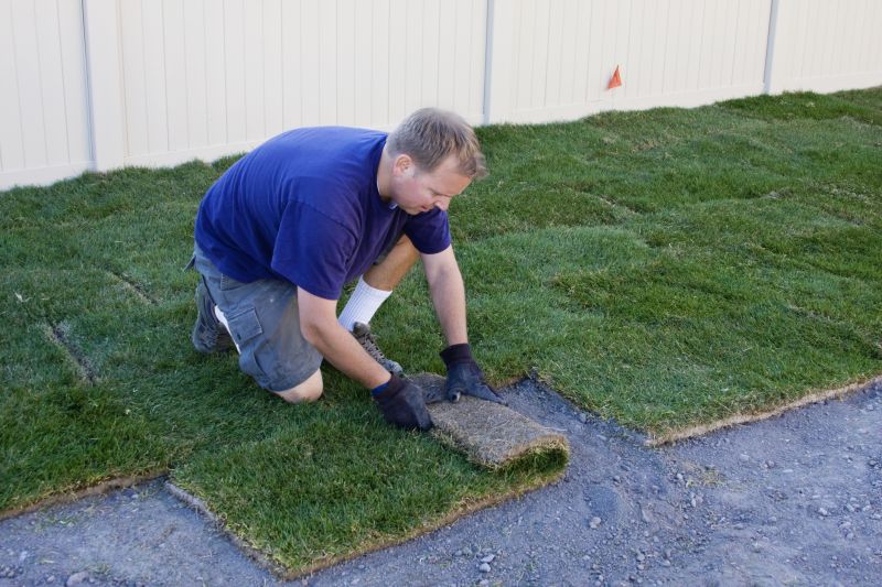 Bahia Sod Installation in Honolulu, HI