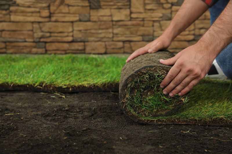 Bentgrass Sod Installation in Ventura County, CA
