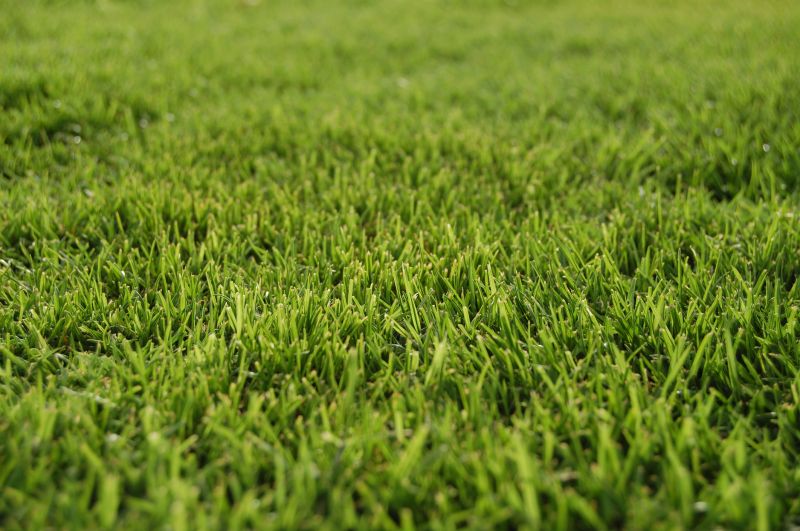 Bermuda Grass Installation in Ventura County, CA