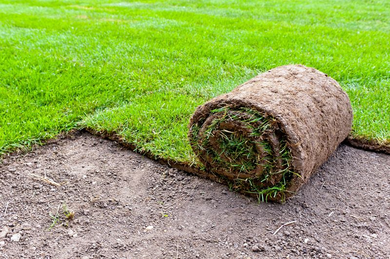 Bermuda Grass Installation in Honolulu, HI