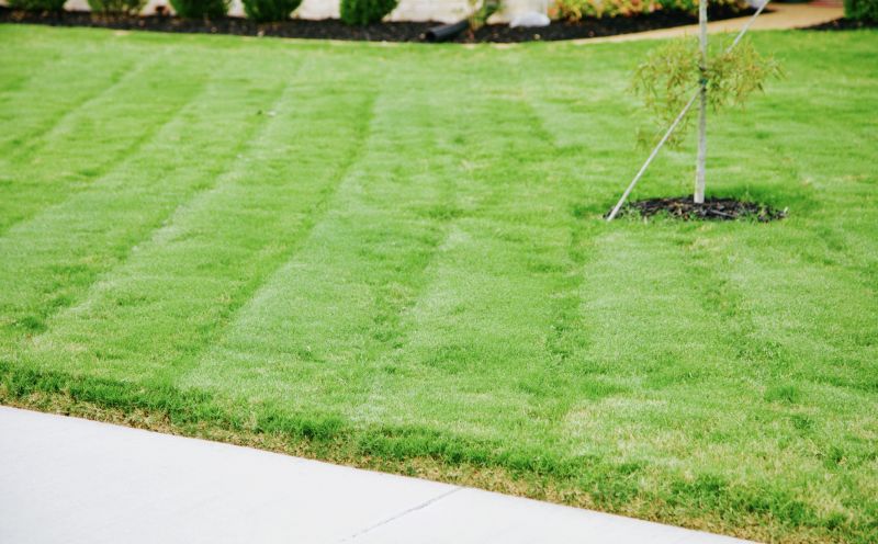 Bluegrass Sod Installation in Aiken, SC