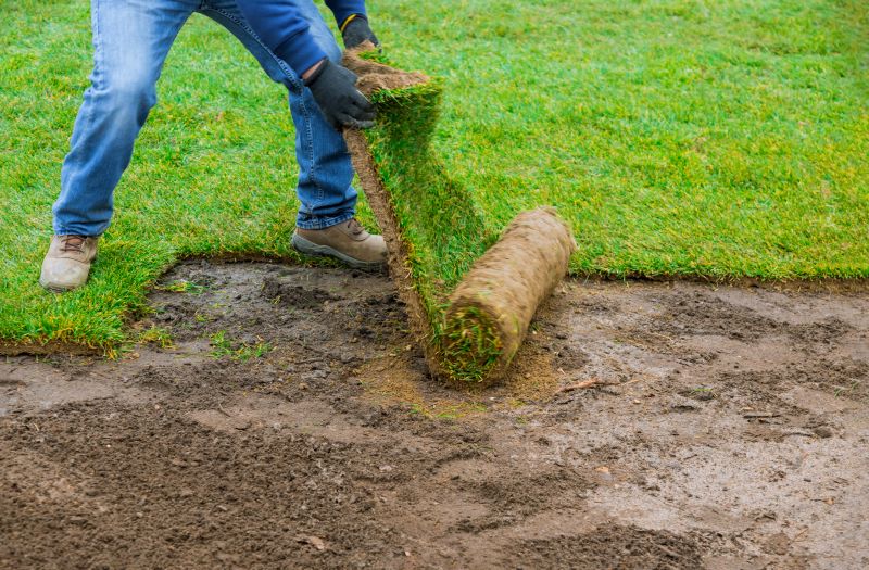Bluegrass Sod Installation in Honolulu, HI