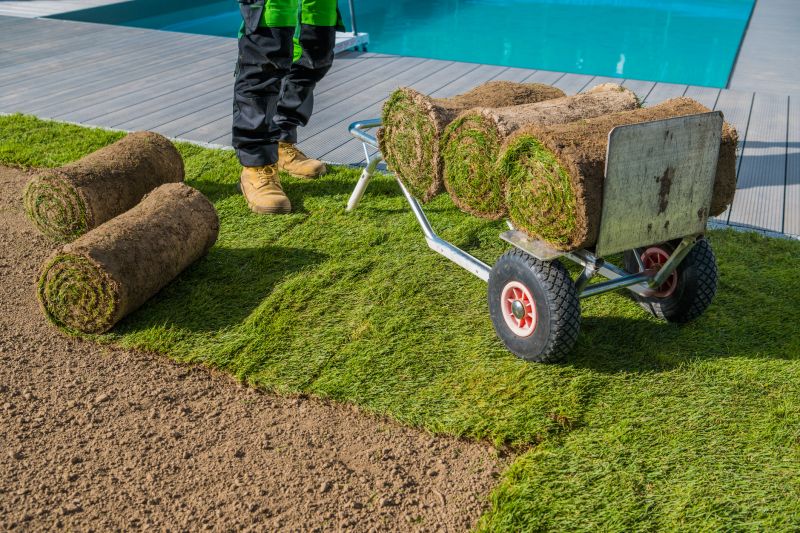 Centipede Sod Installation in Ventura County, CA