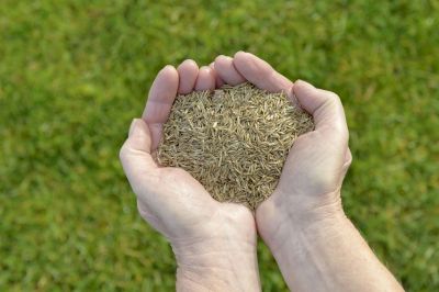Commercial Grass Seeding in Honolulu, HI