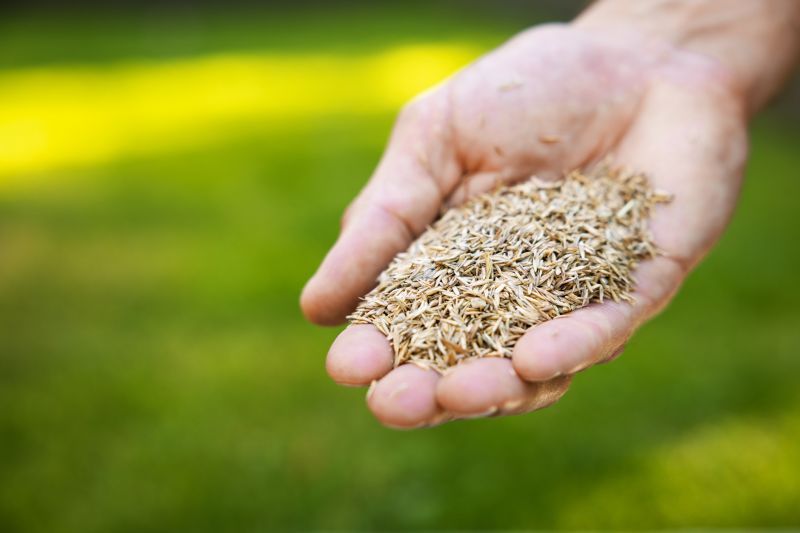 Commercial Grass Seeding in Honolulu, HI