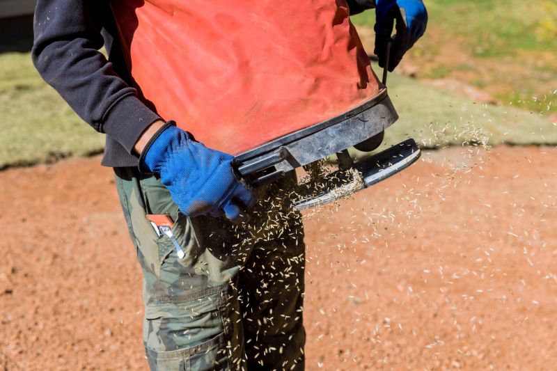 Commercial Lawn Seeding in Honolulu, HI