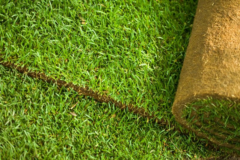 Commercial Sodding in Rockwall, TX