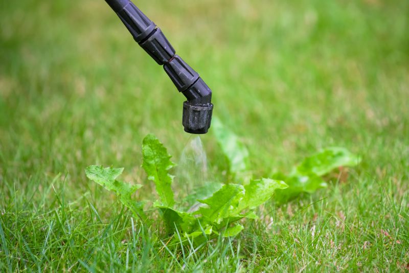 Crabgrass Prevention in Ventura County, CA