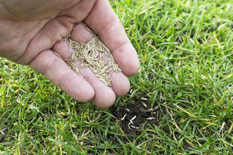 Fall Lawn Seeding in Honolulu, HI