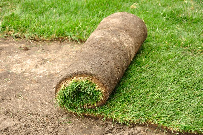Fescue Sod Installation in Honolulu, HI