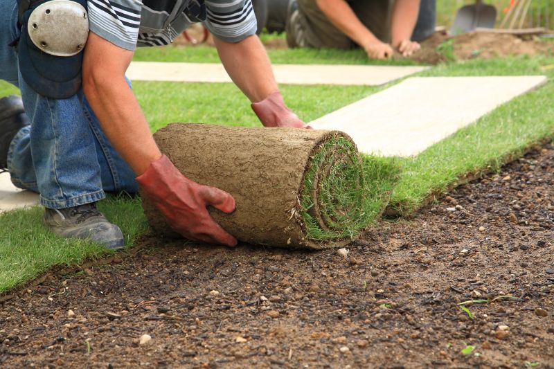Fescue Sod Installation in Aiken, SC