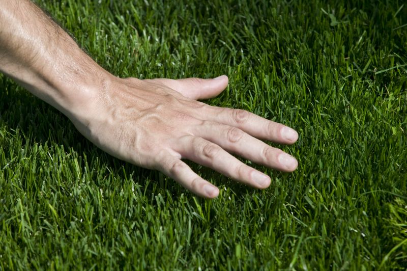Grass Installation in Honolulu, HI