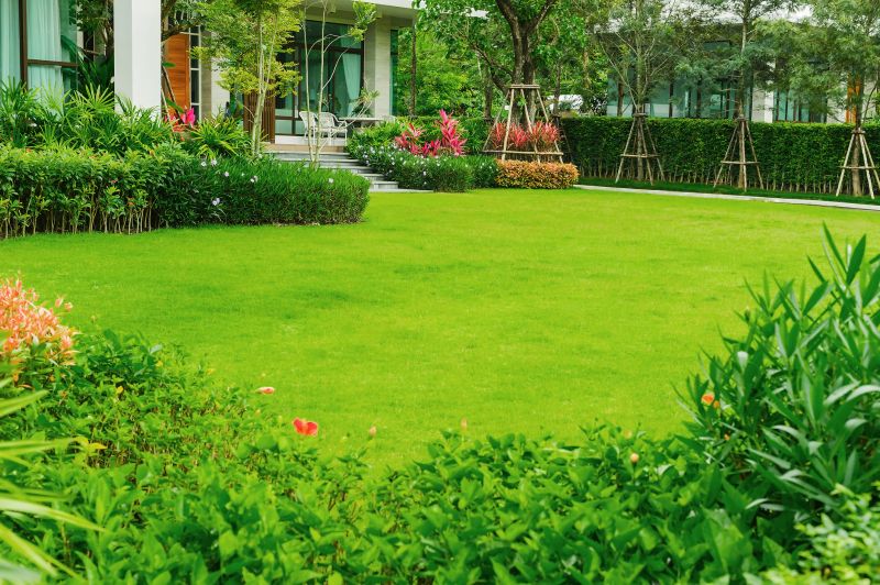 Grass Replacement in Honolulu, HI
