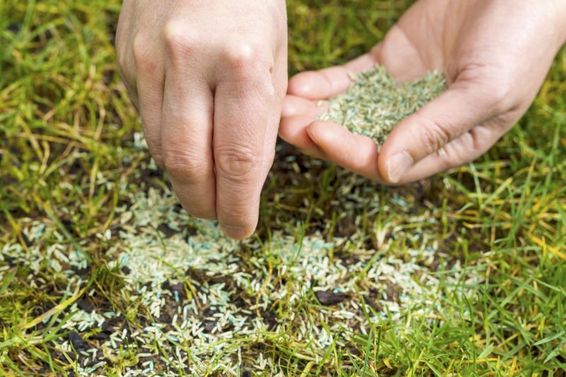Grass Seed Installation in Honolulu, HI
