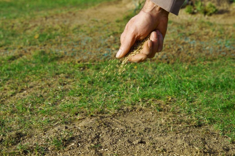 Grass Seed Installation in Honolulu, HI