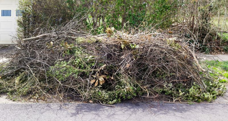 Lawn Debris Cleanup in Honolulu, HI