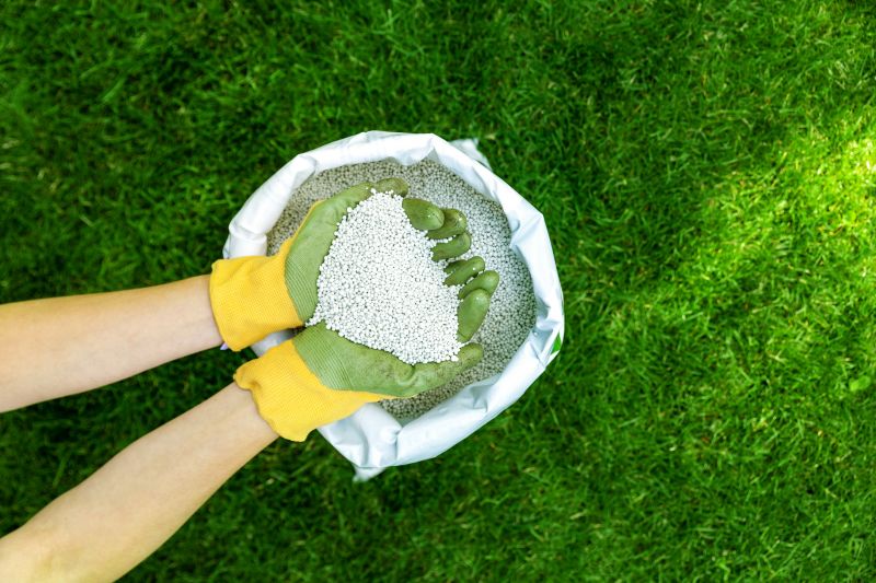 Lawn Fertilization Service in Honolulu, HI