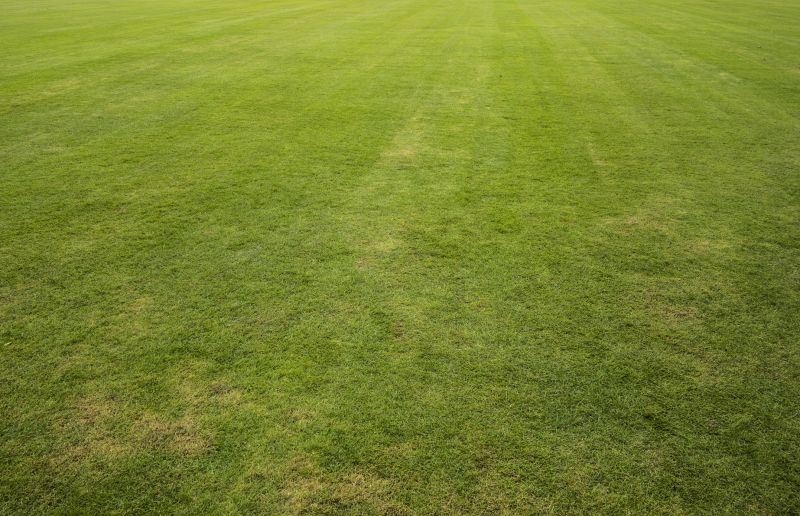 Lawn Sodding in Rockwall, TX