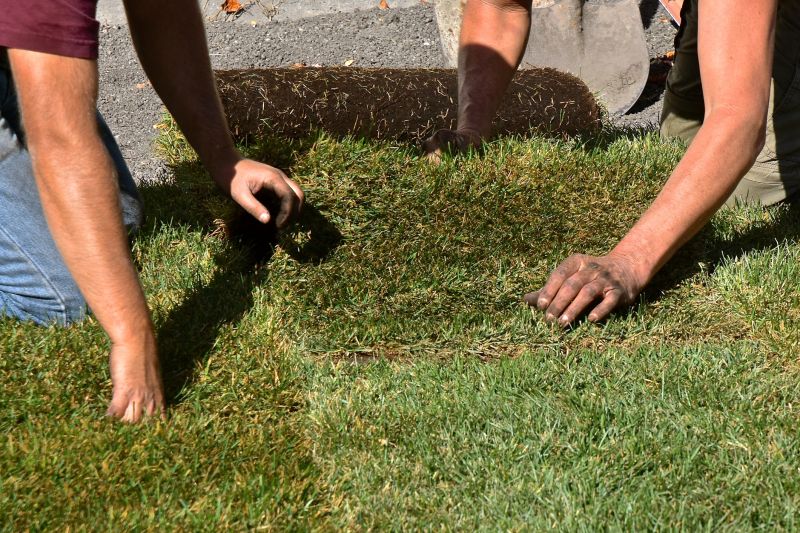Lawn Sodding in Honolulu, HI