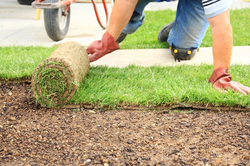 Lawn Sodding in Honolulu, HI