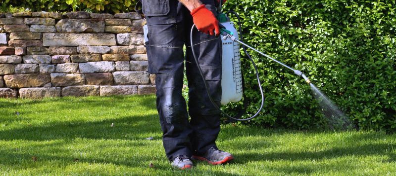 Lawn Weed Control in Honolulu, HI