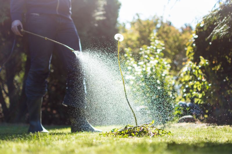 Lawn Weed Treatment in Honolulu, HI