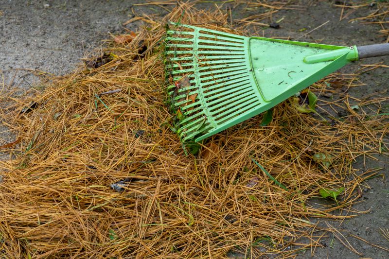 Pine Needles Removal in Honolulu, HI