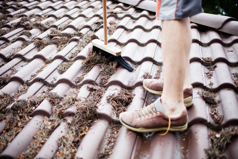 Pine Straw Raking in Honolulu, HI