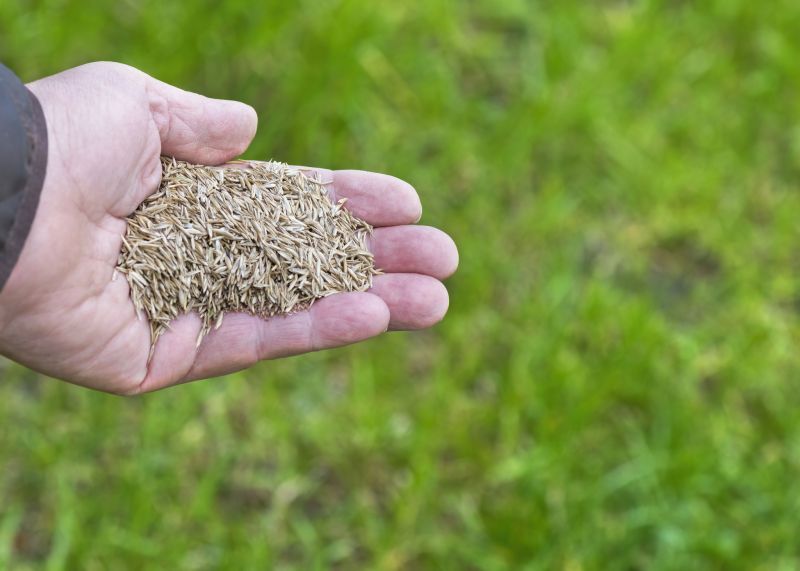 Reseeding Service in Honolulu, HI
