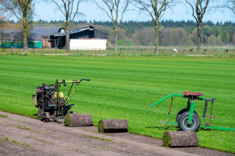 Ryegrass Sod Installation in Aiken, SC