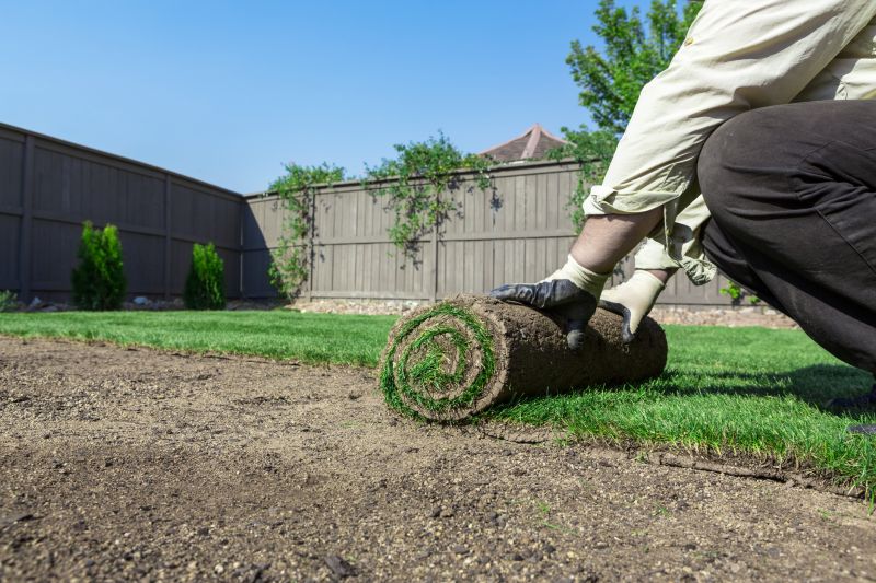 Ryegrass Sod Installation in Rockwall, TX