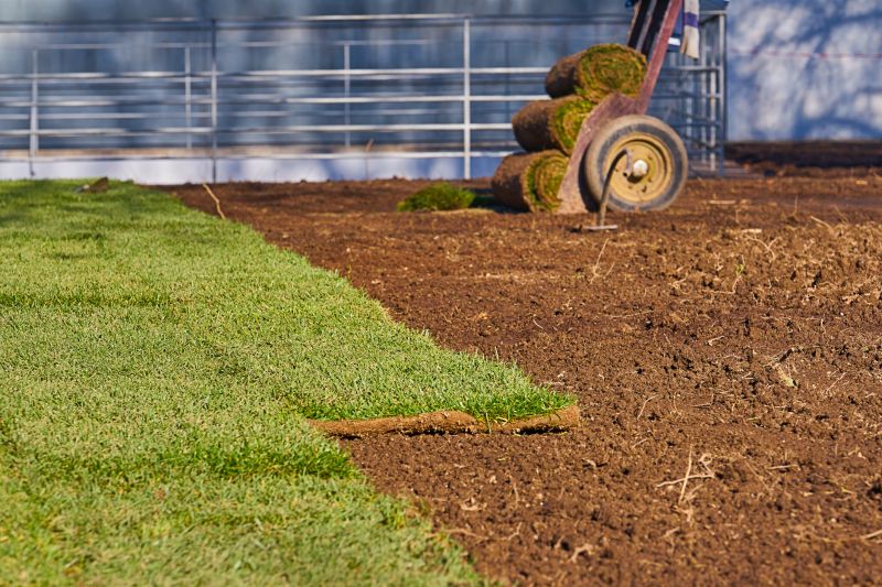 Sod Installation in Ventura County, CA