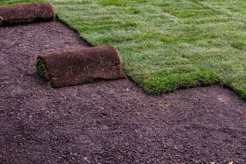 Sod Landscaping in Rockwall, TX