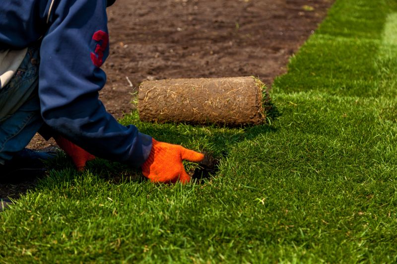 Sod Laying Service in Honolulu, HI
