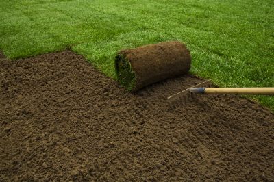 Sod Replacement in Rockwall, TX