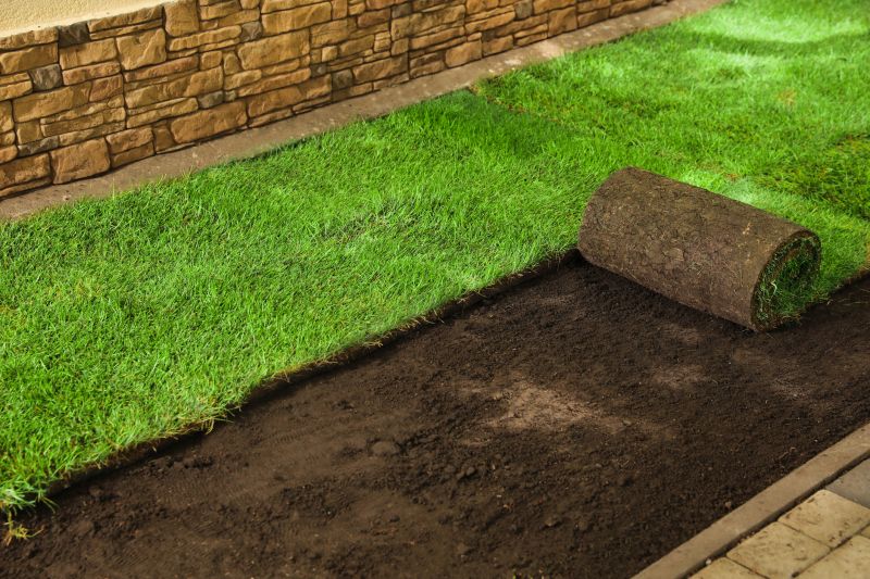 Sod Replacement in Rockwall, TX