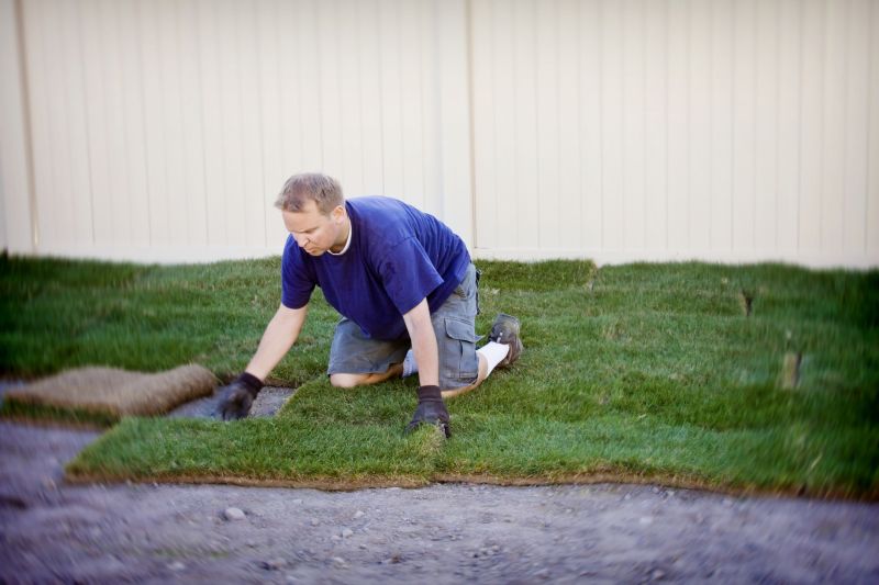 Sod Replacement in Honolulu, HI