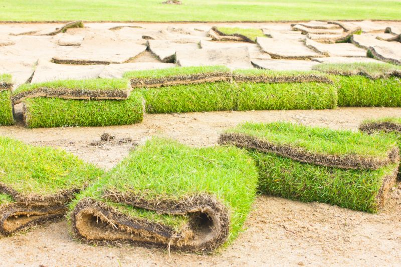 Sod Replacement in Honolulu, HI