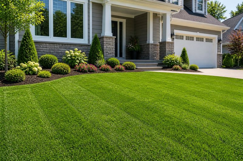 Sod Replacement in Ventura County, CA