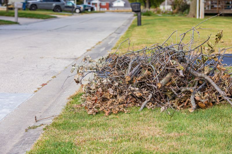 Tree Branches Removal in Honolulu, HI