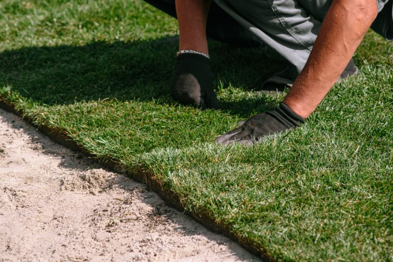 Turfing Service in Ventura County, CA