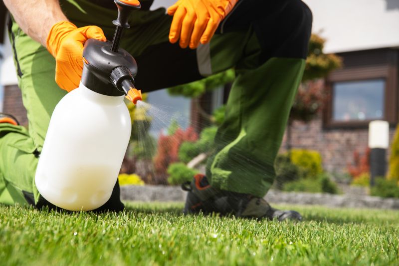 Weed Prevention Service in Aiken, SC