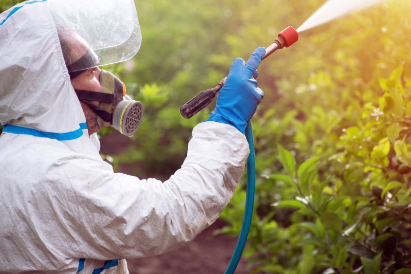 Weed Spraying in Aiken, SC