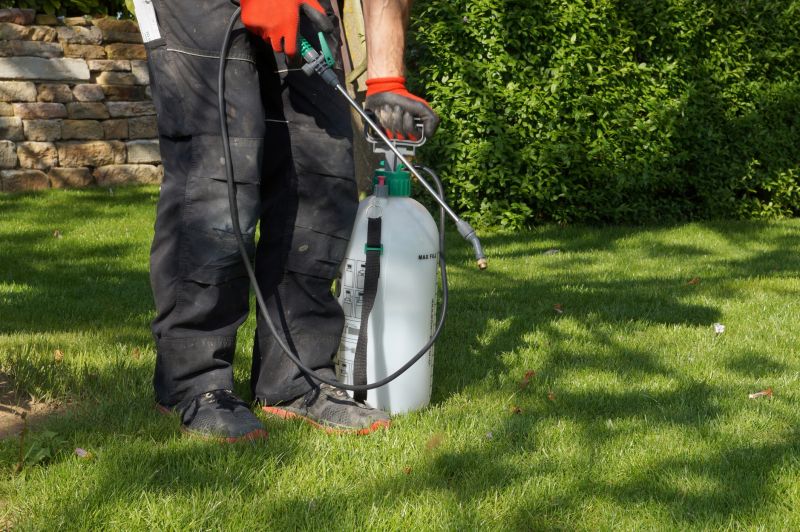 Weed Spraying in Rockwall, TX