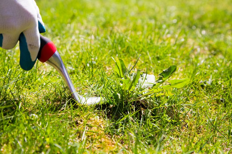 Weeding Service in Aiken, SC